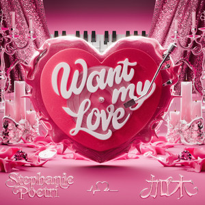 成人a片在线观看
