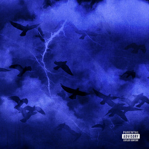 成人a片在线观看
