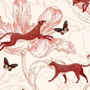 成人a片在线观看
