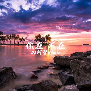 成人a片在线观看
