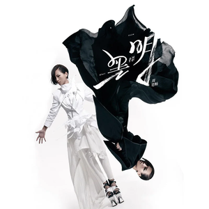 成人a片在线观看
