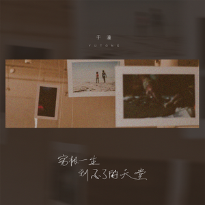 成人a片在线观看
