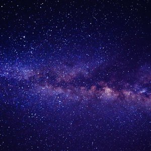 成人a片在线观看
